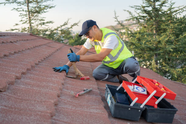 Best Shingle Roofing Installation  in Fort Calhoun, NE